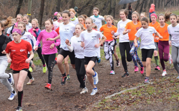 Mindenfajta éremből jutott Dombóvárra