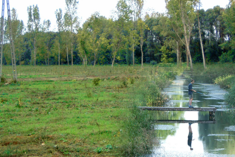 Befejeződött a Kis-Konda-patak völgyének helyreállítása Dombóváron