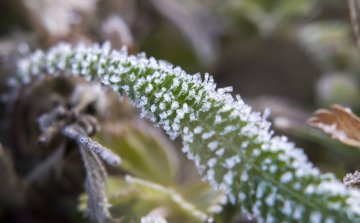 Durva lehűlés érkezik a hétvégén