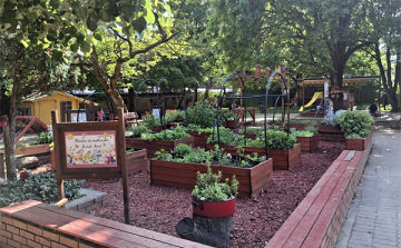 Országos díjat nyert a Dombóvári Szivárvány Óvoda madár- és méhecskebarát konyhakertje