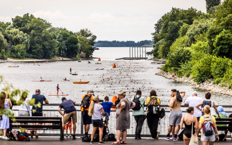 Cseh László is vízbe ugrik szombaton a harmadik MOL Campus Öbölúszáson
