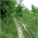 Felhőszakadás a Tüskei horgásztónál