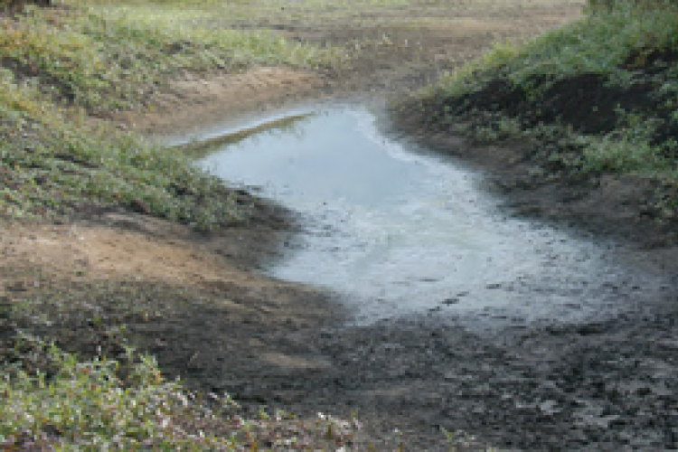 Új kármentesítő technológiát fejlesztenek magyar cégek