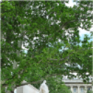 Villanások a közelmúltban átadott Kossuth szoborról