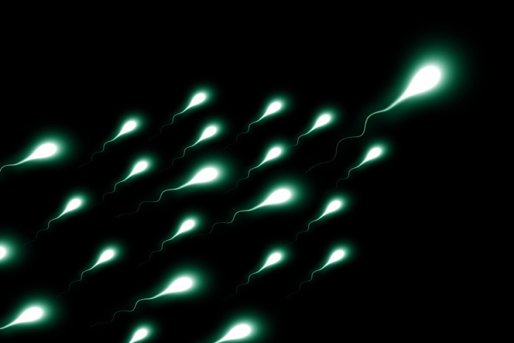 Mesterséges megtermékenyítéshez megőrizhették egy halott amerikai fiú spermáit a szülei