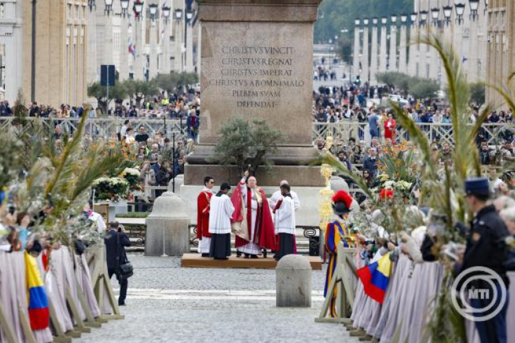 A Szent Péter teret díszítő virágokat egyházi intézmények és idősotthonok kapják meg