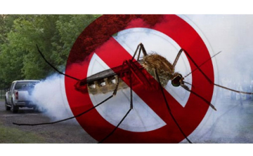 Szúnyoggyérítést végeznek Dombóváron