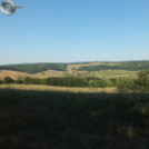 Deltások a Zselicben