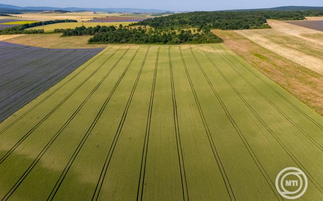 Agrometeorológia: országszerte mérséklődött az aszály, nagy területen meg is szűnt