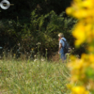 Deltások a Zselicben